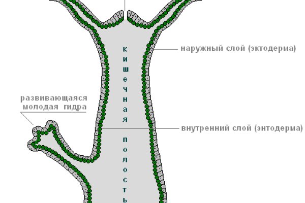 Актуальный домен кракена