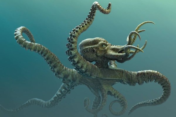 Kraken ссылка актуальная москва