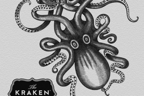 Kraken 24 top